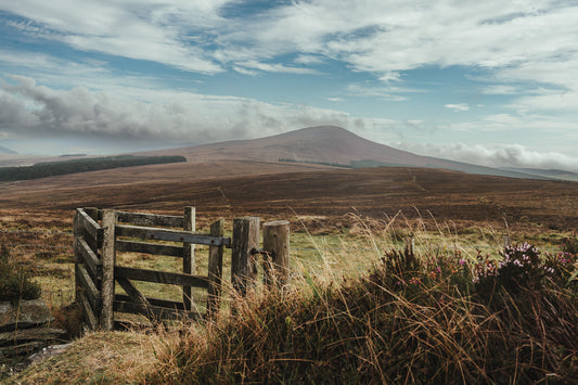 Celebrating Tynwald Day: The Isle of Man's Special Traditions