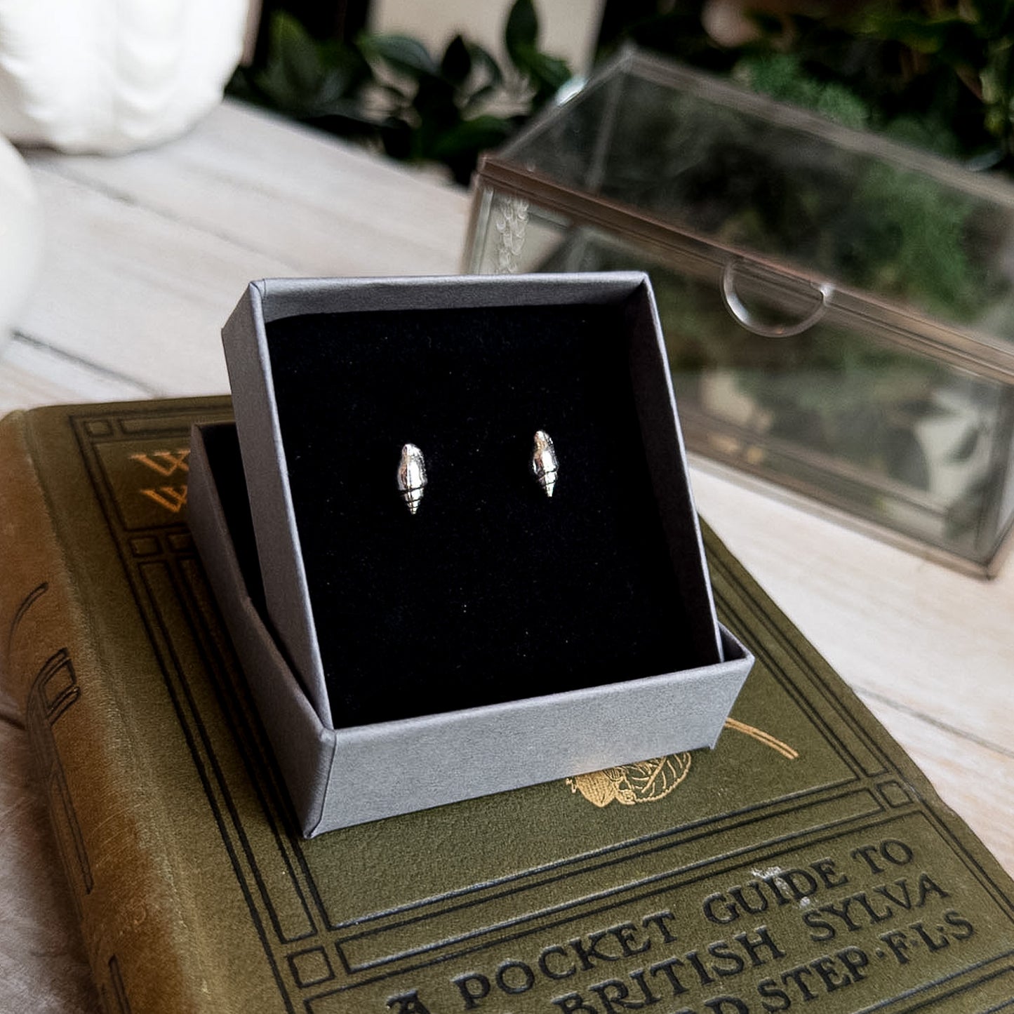 Whelk Shell Stud Earrings - End of Line