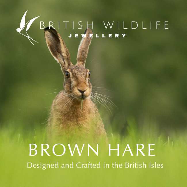 Sterling Silver Running Hare Pendant