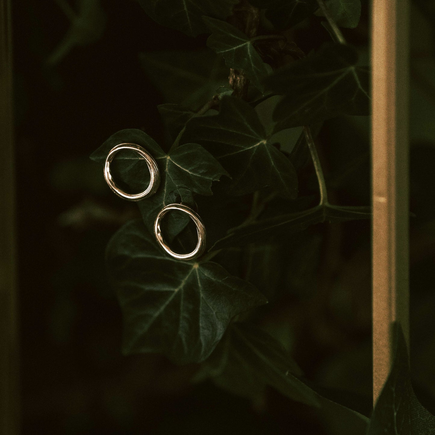 Gold Drift Stud Earrings