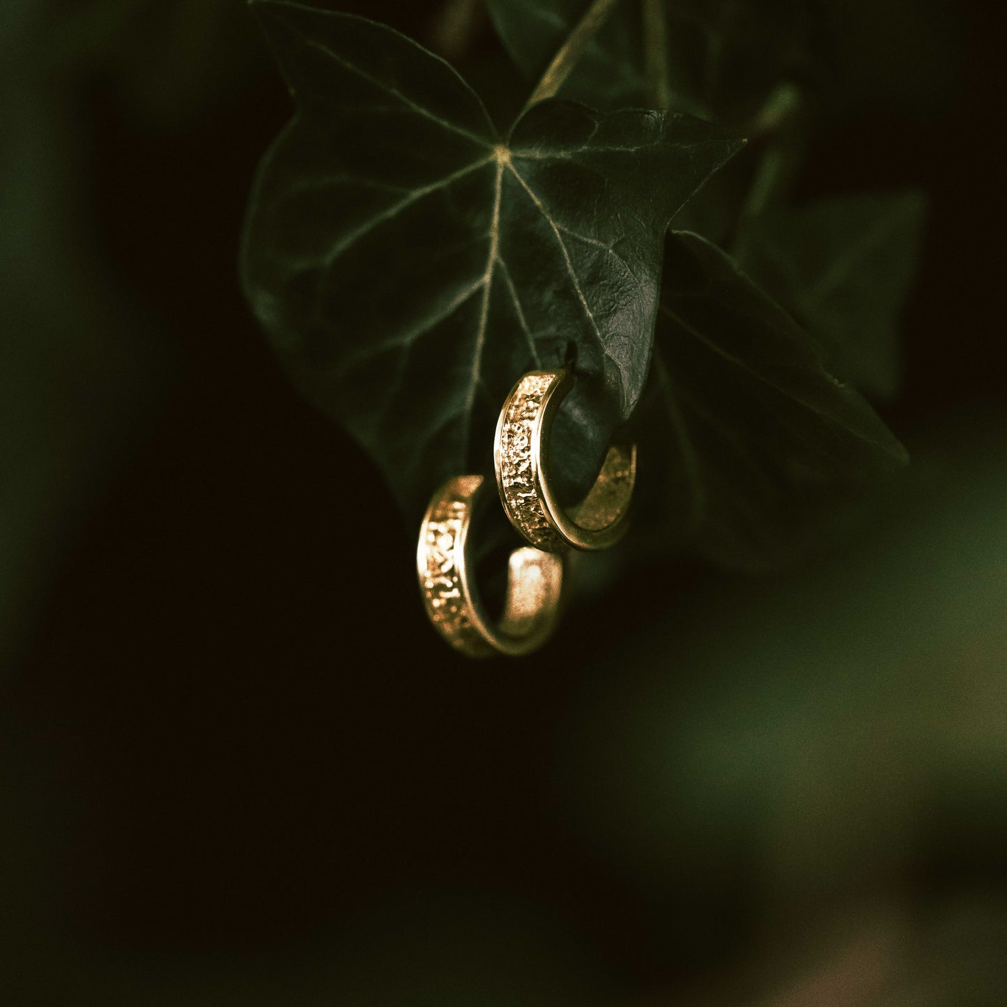Gold Stardust Hoop Earrings