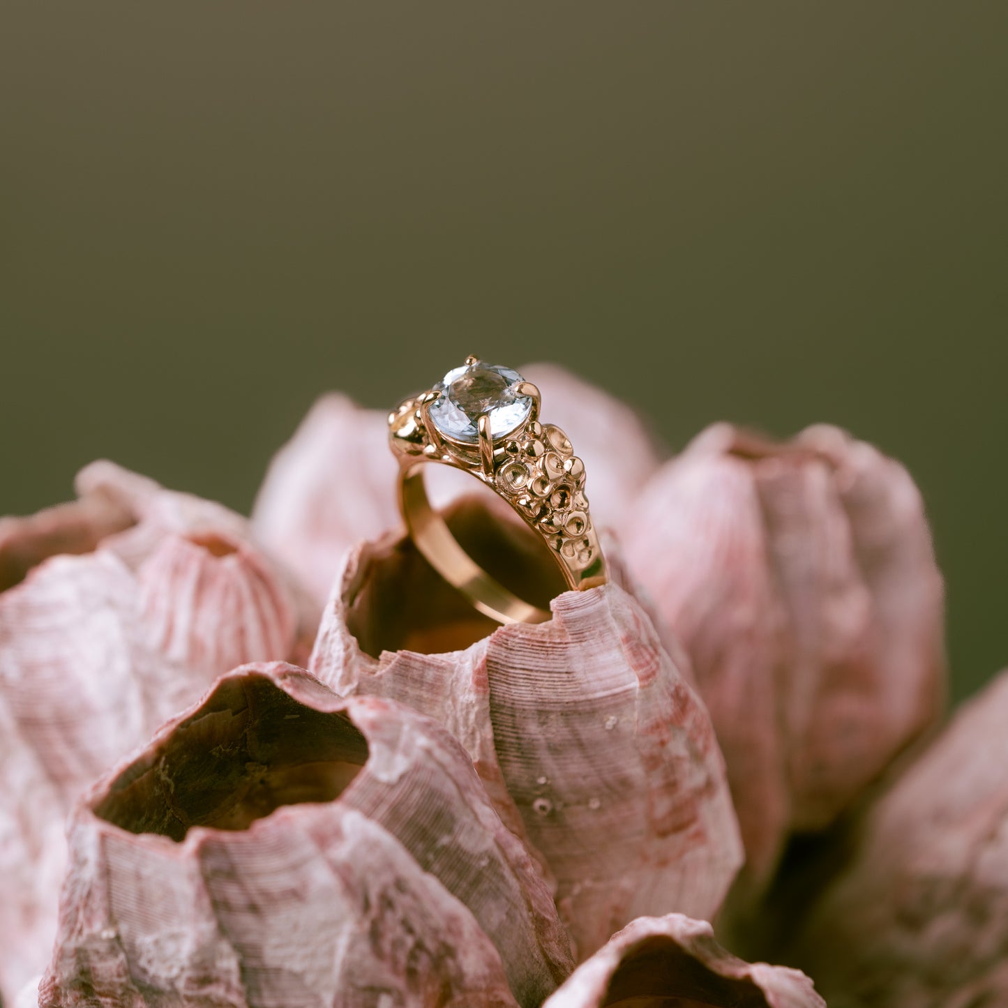 Barnacle Gold Ring with stunning Aquamarine