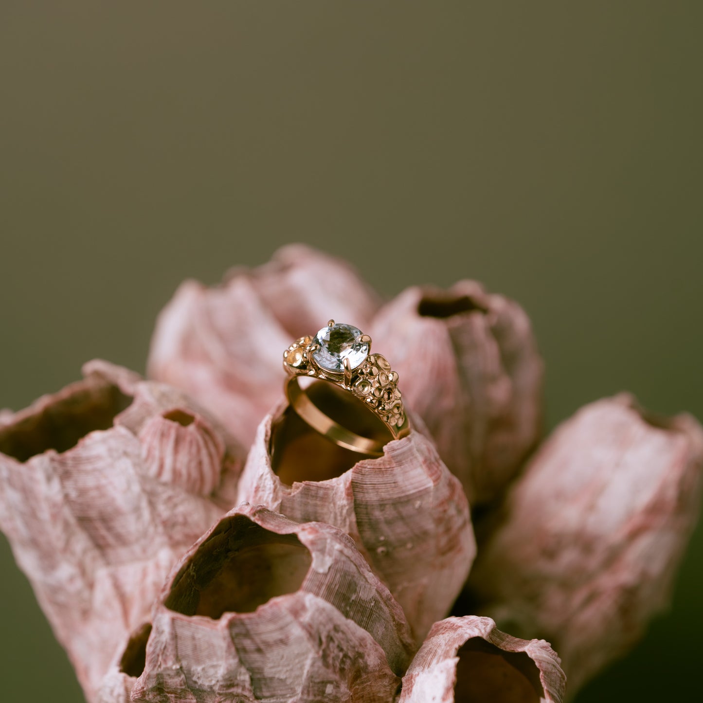 Barnacle Gold Ring with stunning Aquamarine