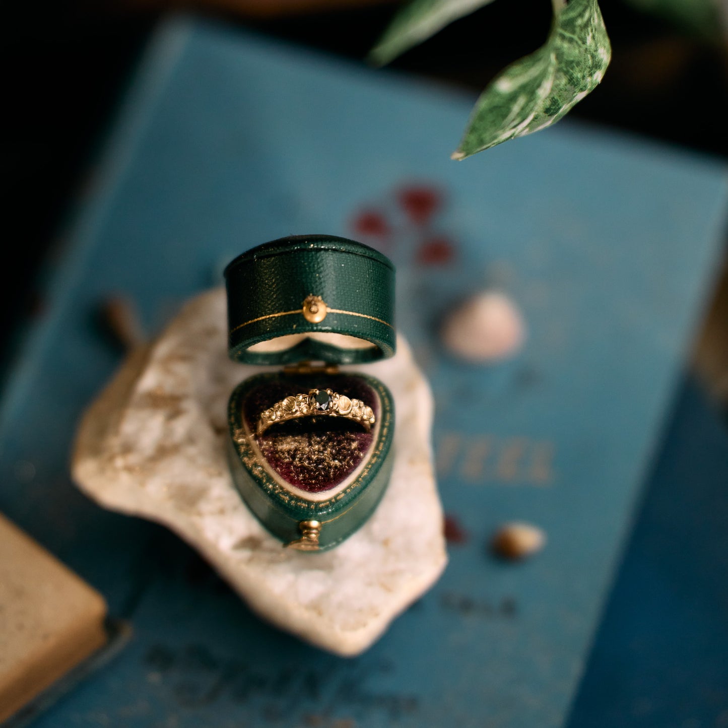Black Diamond Gold Barnacle Ring