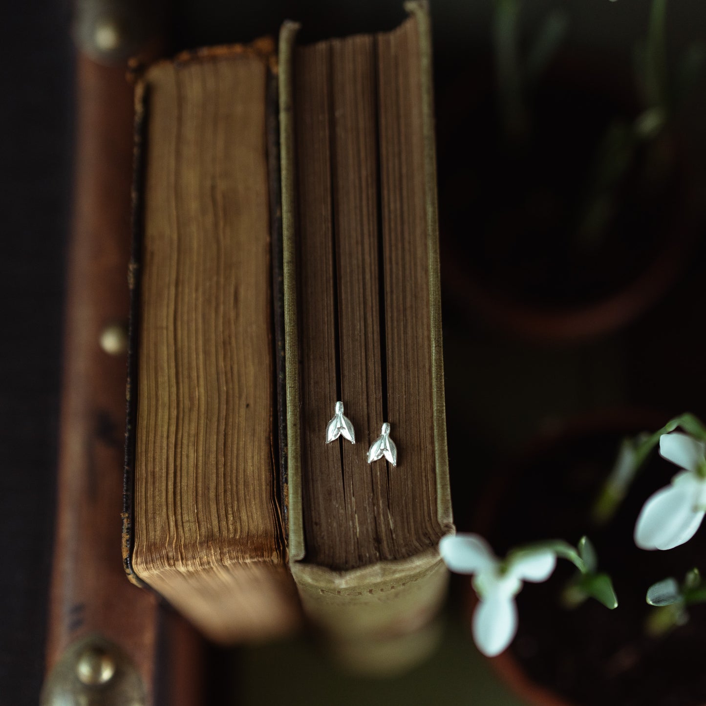 Silver Snowdrop Stud Earrings