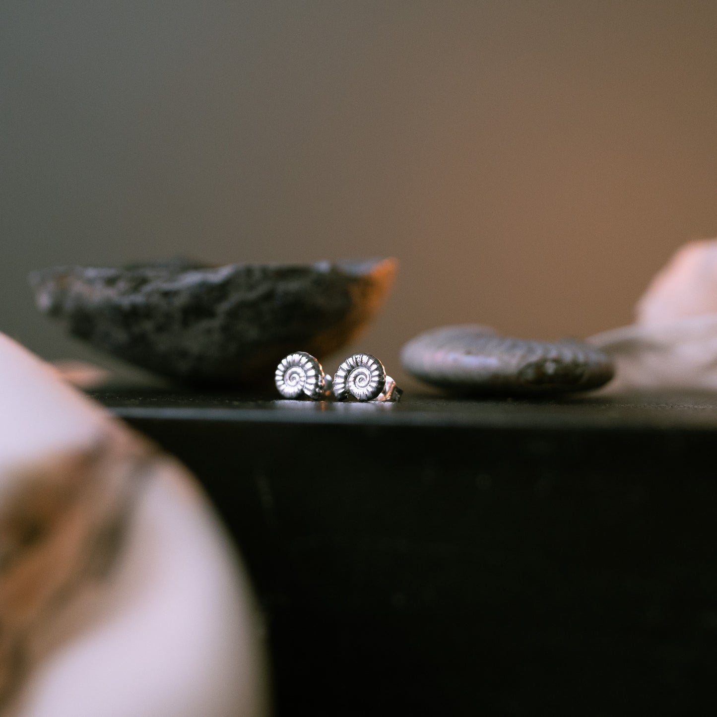Sterling Silver Ammonite Fossil Stud Earrings