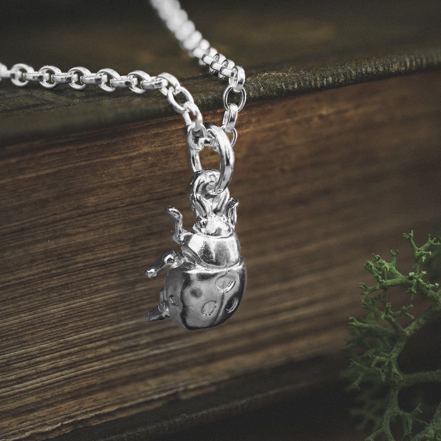 Silver Ladybird Charm Necklace