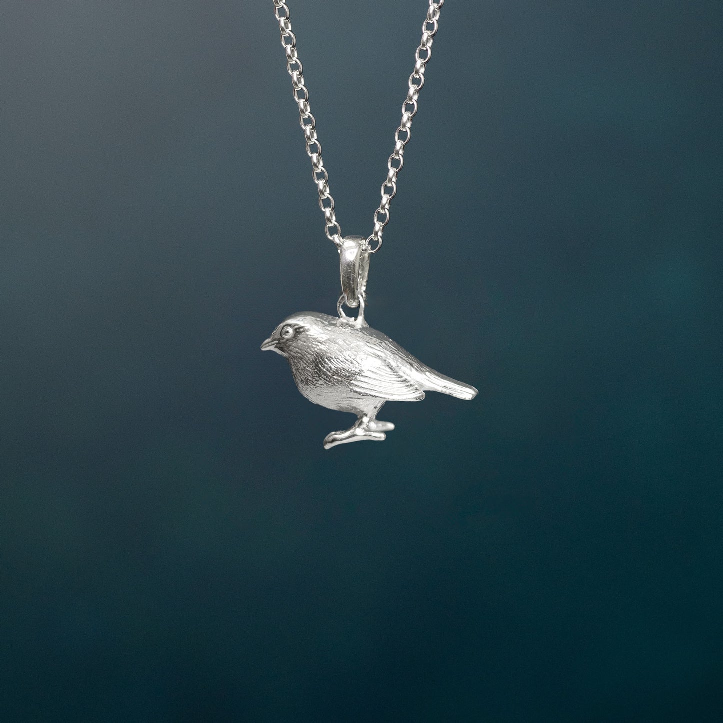 Robin Silver Pendant Necklace