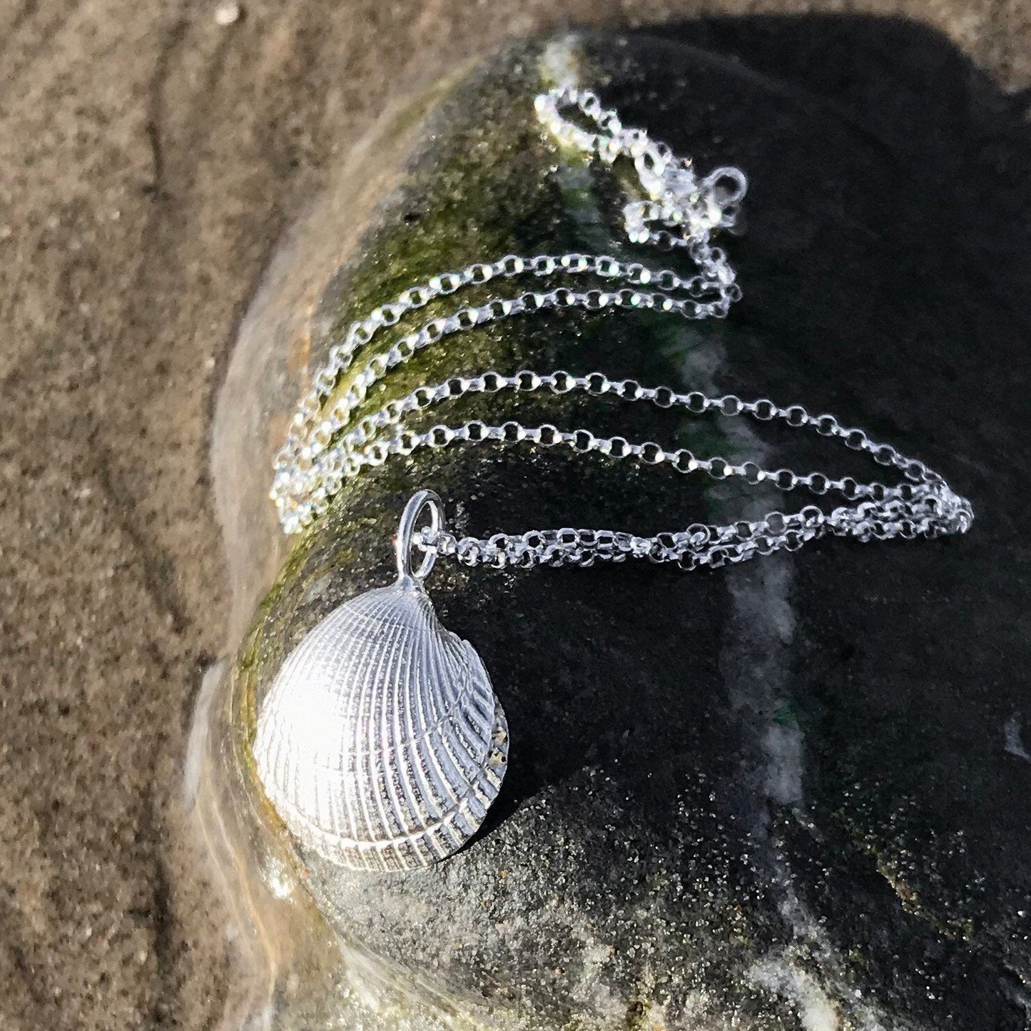 Sterling Silver Cockle Shell Necklace