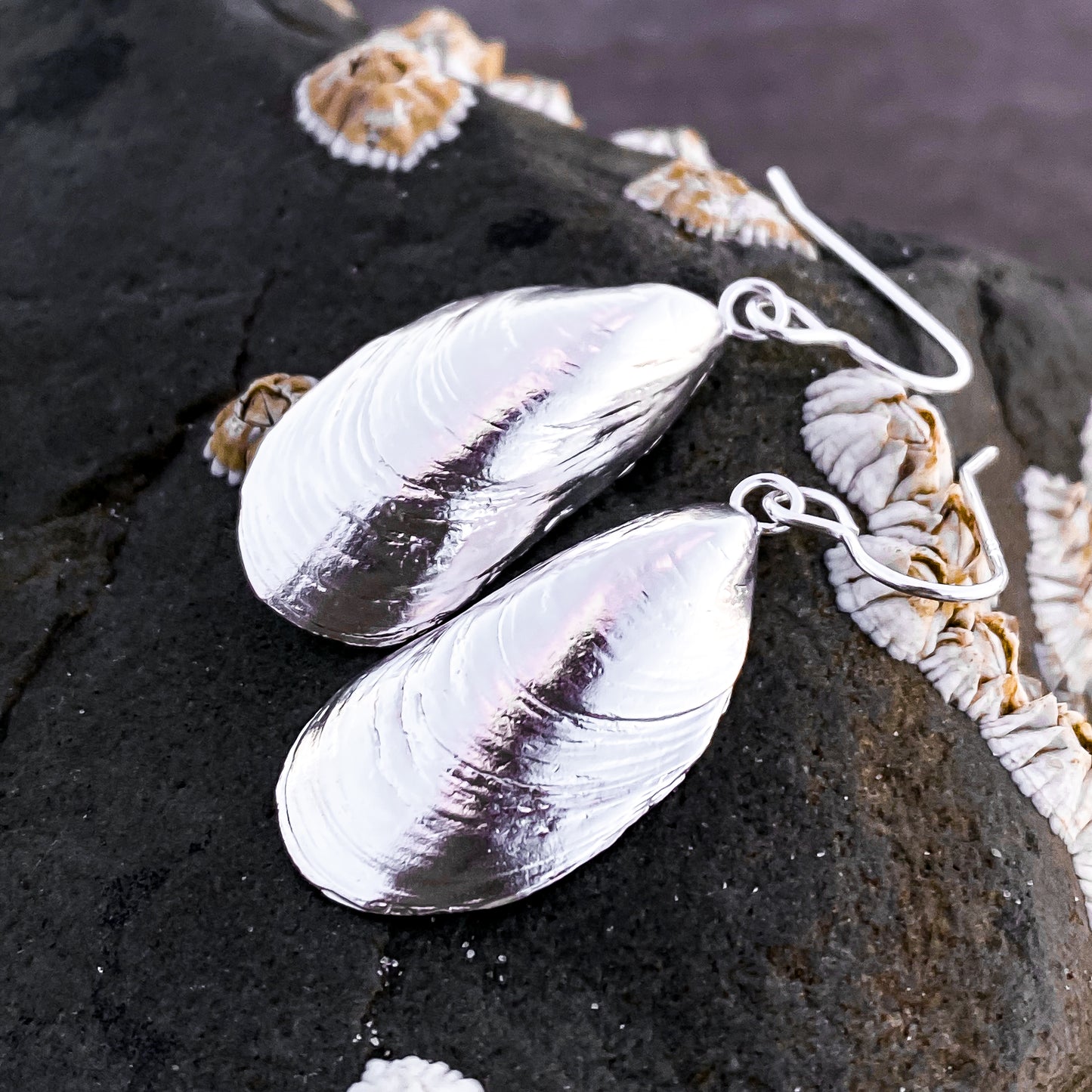 Sterling Silver Mussel Shell Earrings
