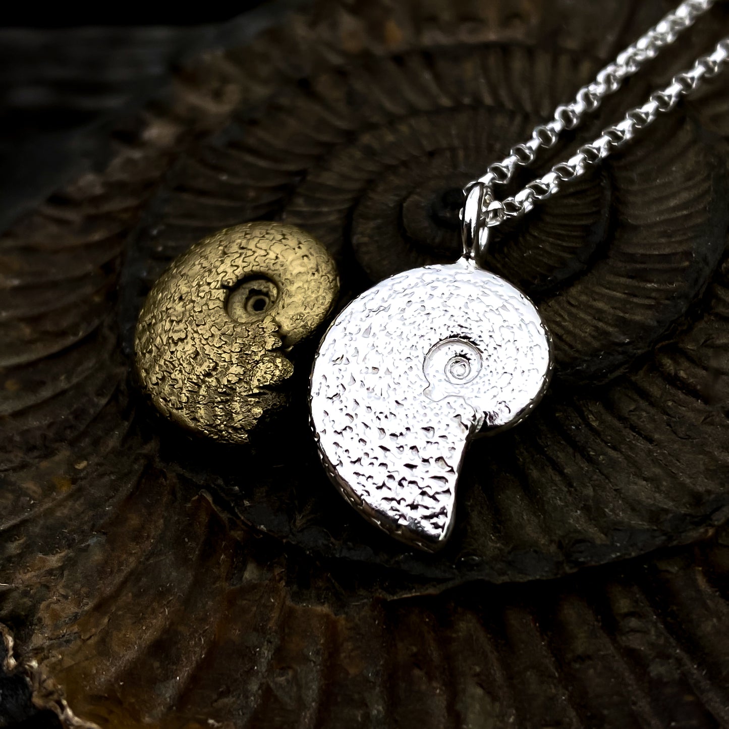 Ammonite Sterling Silver Necklace