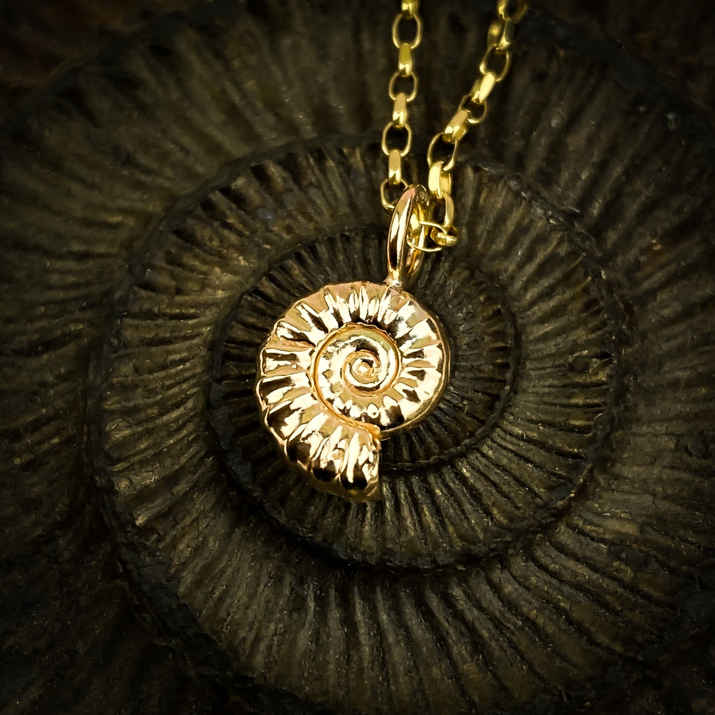 Small Gold Ammonite Necklace