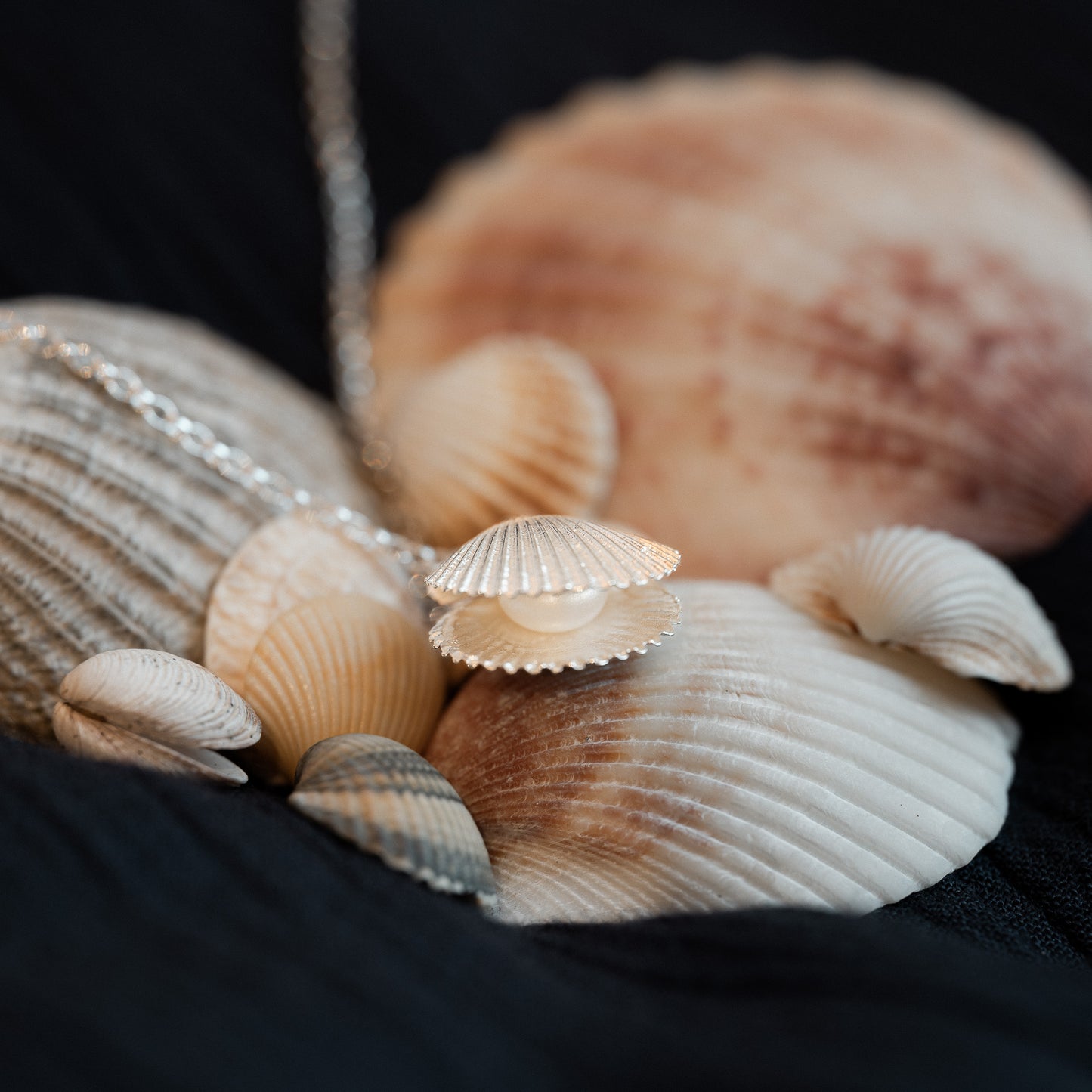 Silver Double Scallop Shell Necklace with Freshwater Pearl