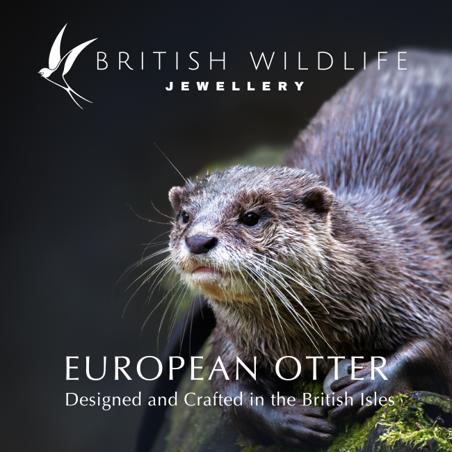 Silver Otter Stud Earrings
