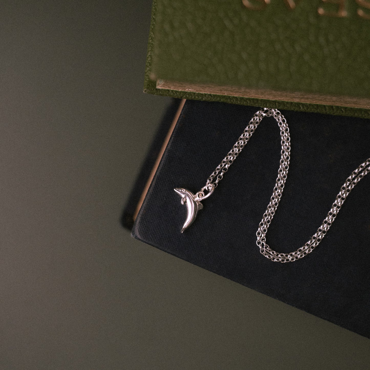 Silver Dolphin Charm Necklace