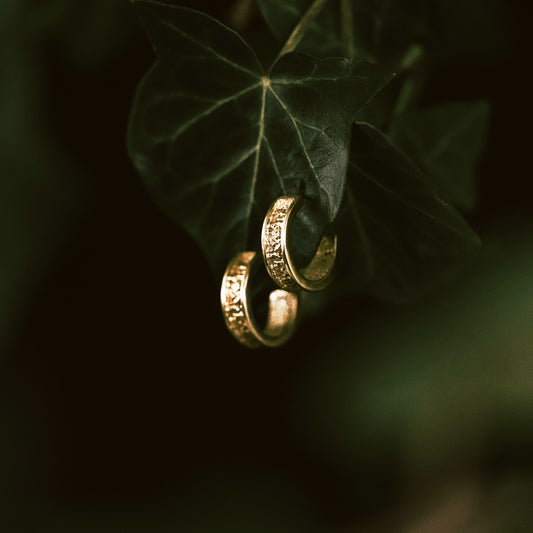 Gold Stardust Hoop Earrings