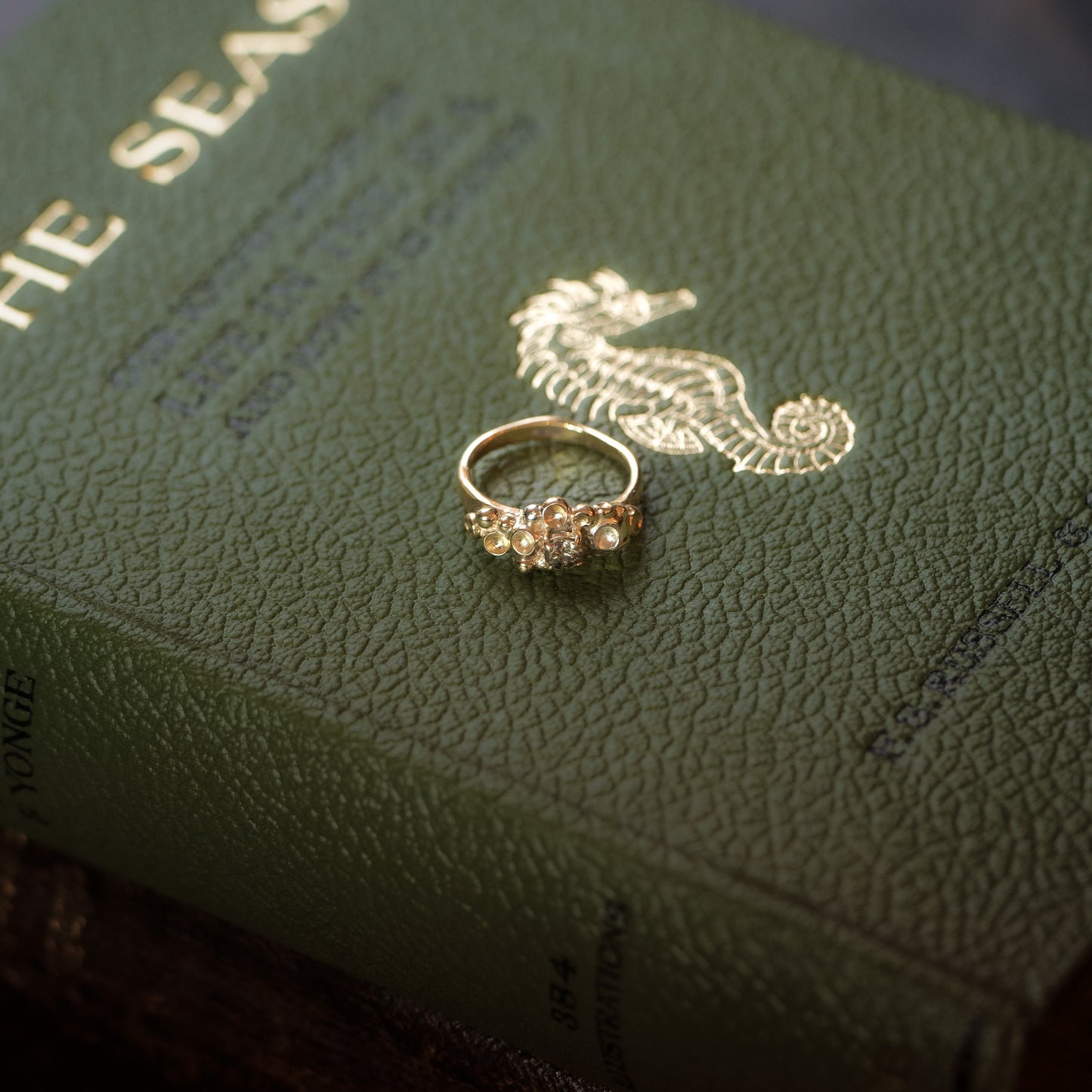 Barnacle Gold Ring with Salt and Pepper Diamond