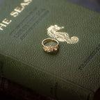 Barnacle Gold Ring with Salt and Pepper Diamond