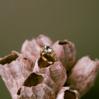 Barnacle Gold Ring with stunning Aquamarine