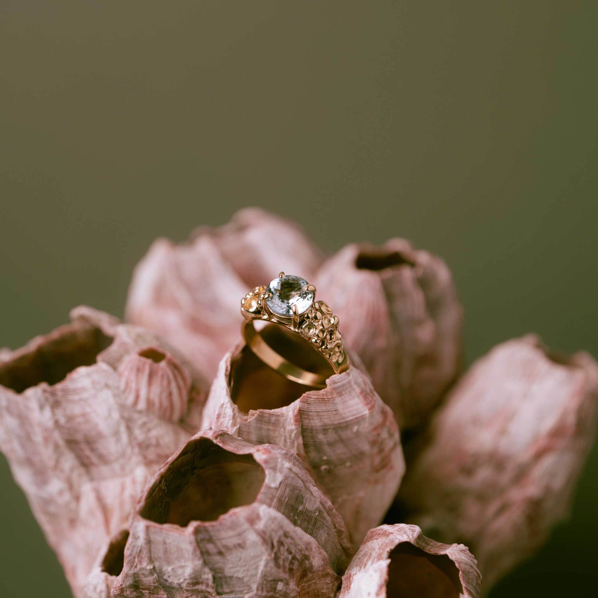 Barnacle Gold Ring with stunning Aquamarine