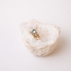 Barnacle Gold Ring with stunning Aquamarine