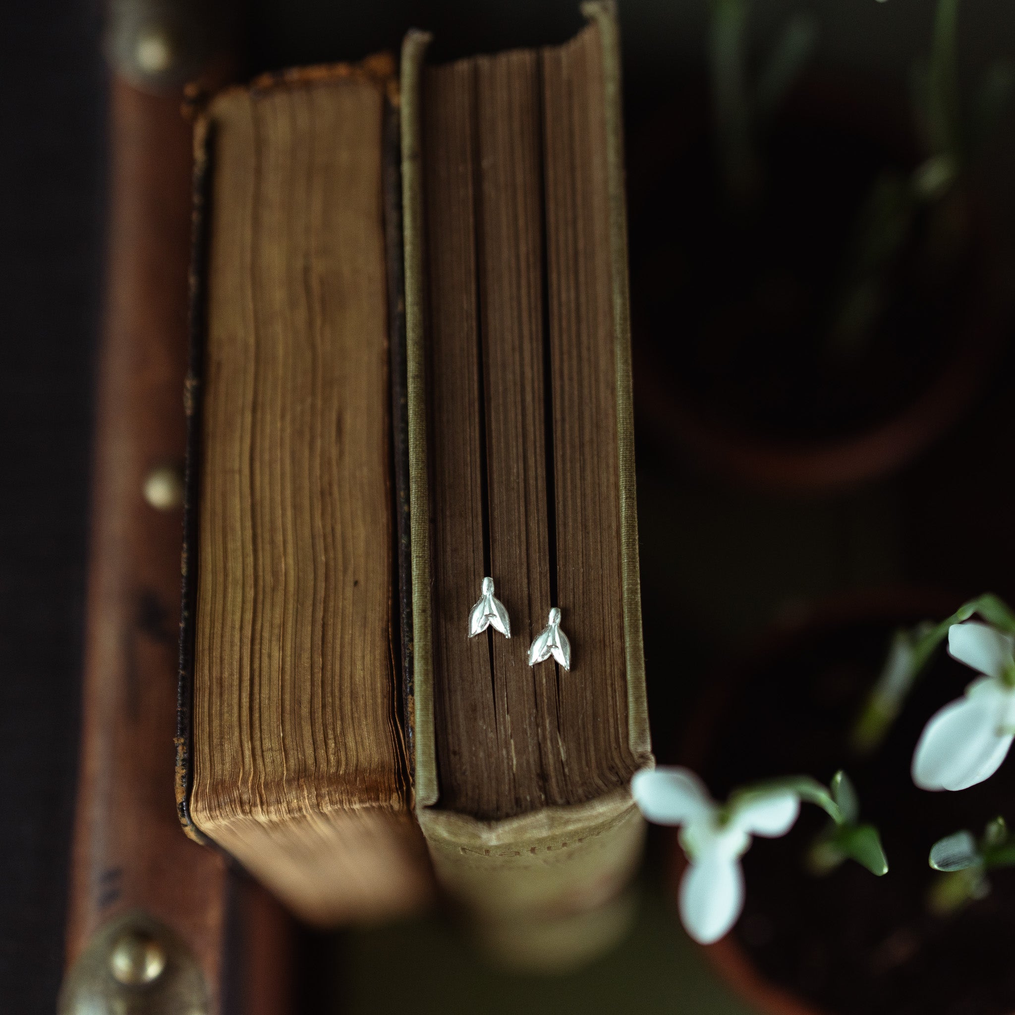 Silver Snowdrop Stud Earrings