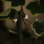 Elderflower Gold Stud Earrings