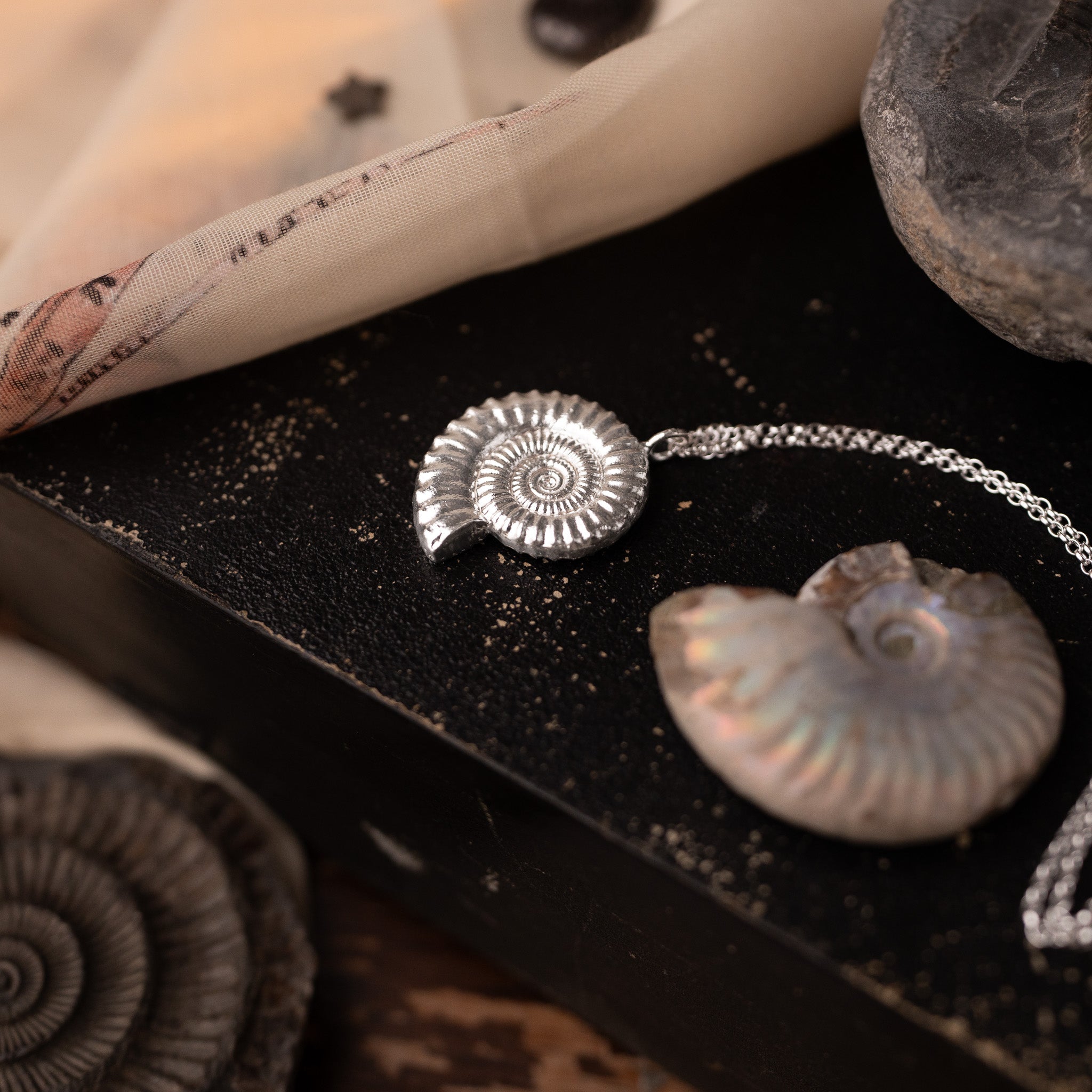 Large Feature Sterling Silver Ammonite Fossil Necklace