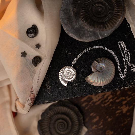 Large Sterling Silver Ammonite Fossil Necklace