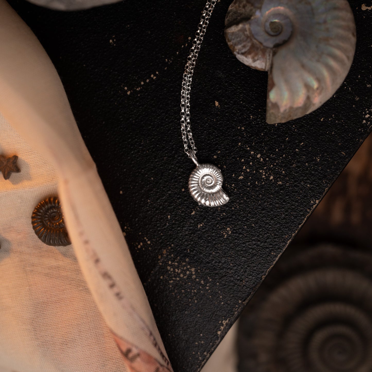 Sterling Silver Ammonite Necklace