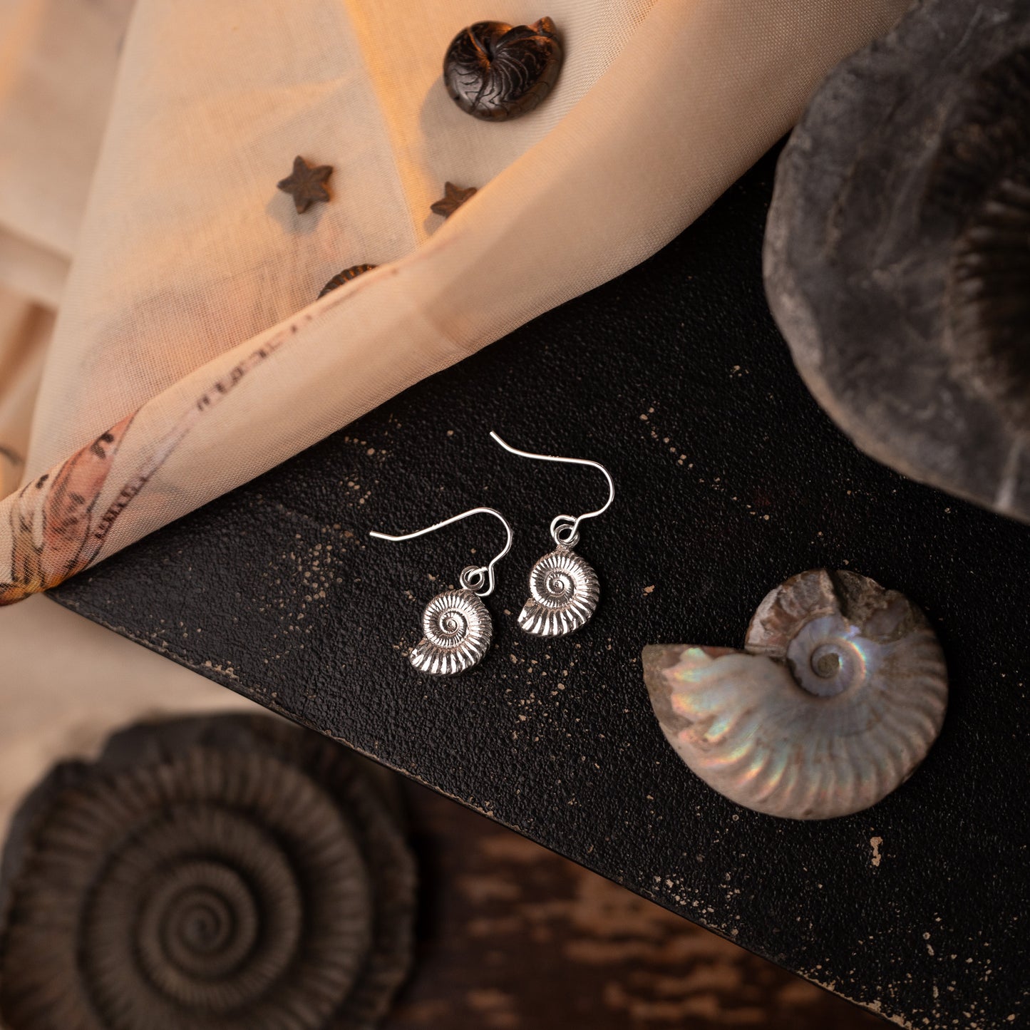 Sterling Silver Ammonite Fossil Earrings
