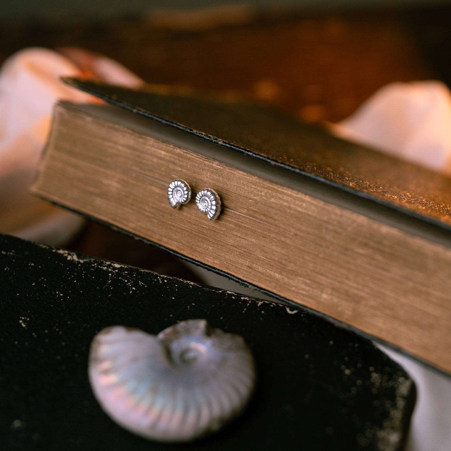 Sterling Silver Ammonite Fossil Stud Earrings