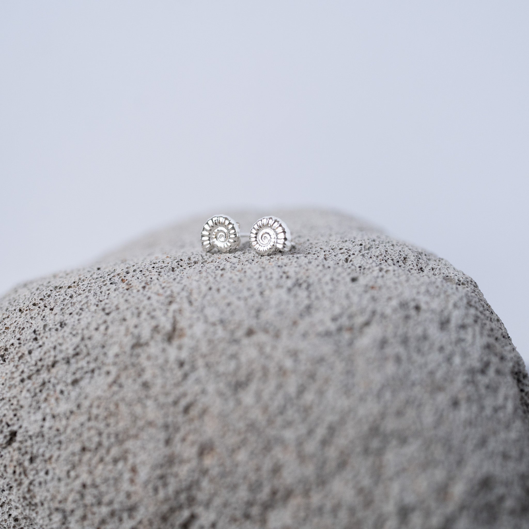 Sterling Silver Ammonite Fossil Stud Earrings
