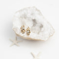 Barnacle Gold Salt and Pepper Diamond Earrings