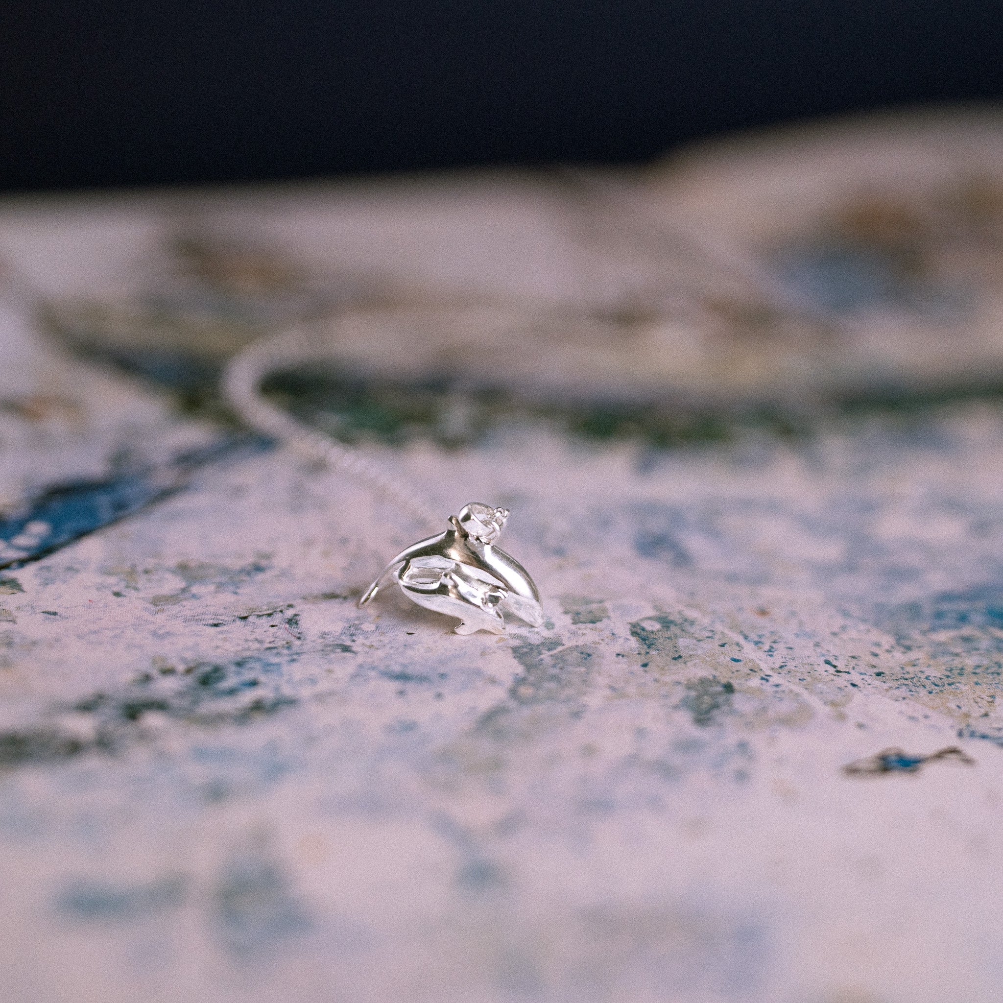 'Moonlight and Starlight' Bottlenose Dolphin Silver Pendant Necklace