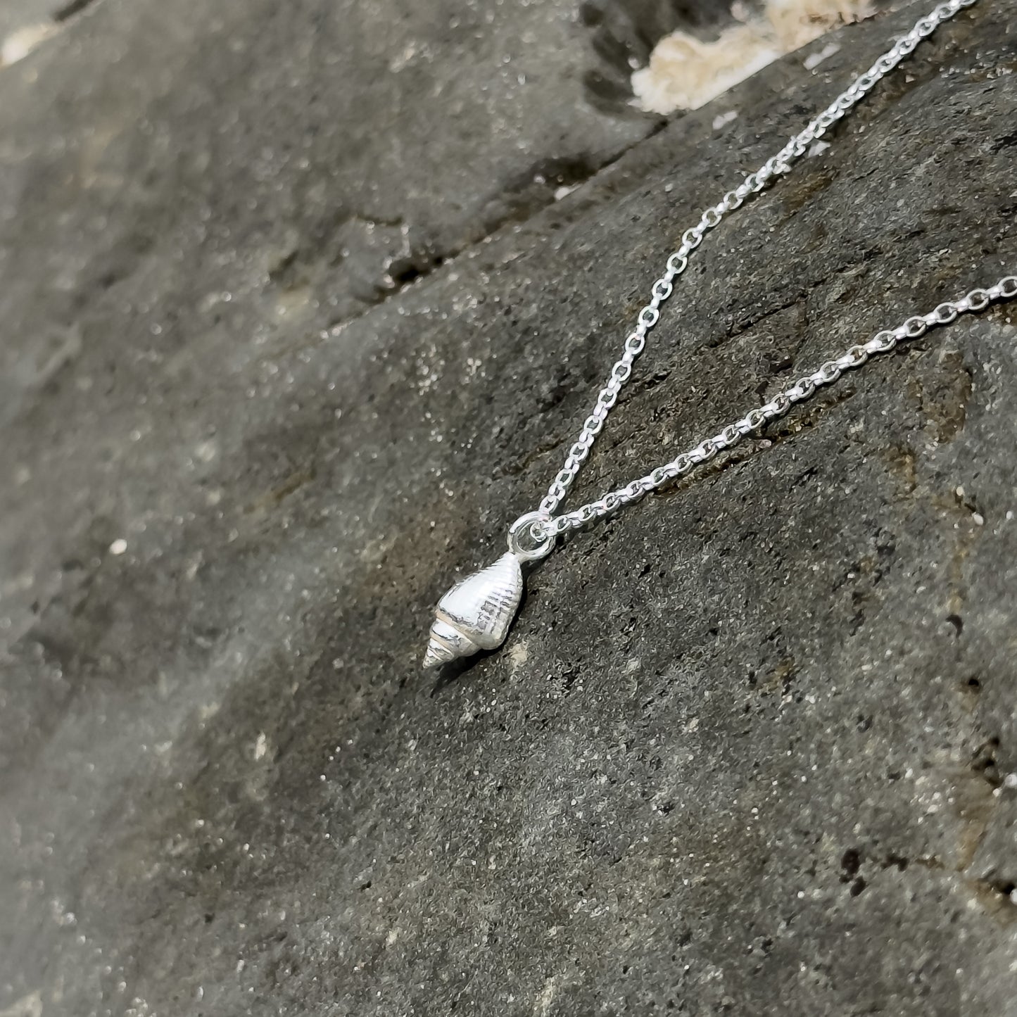 Silver Whelk Shell Necklace