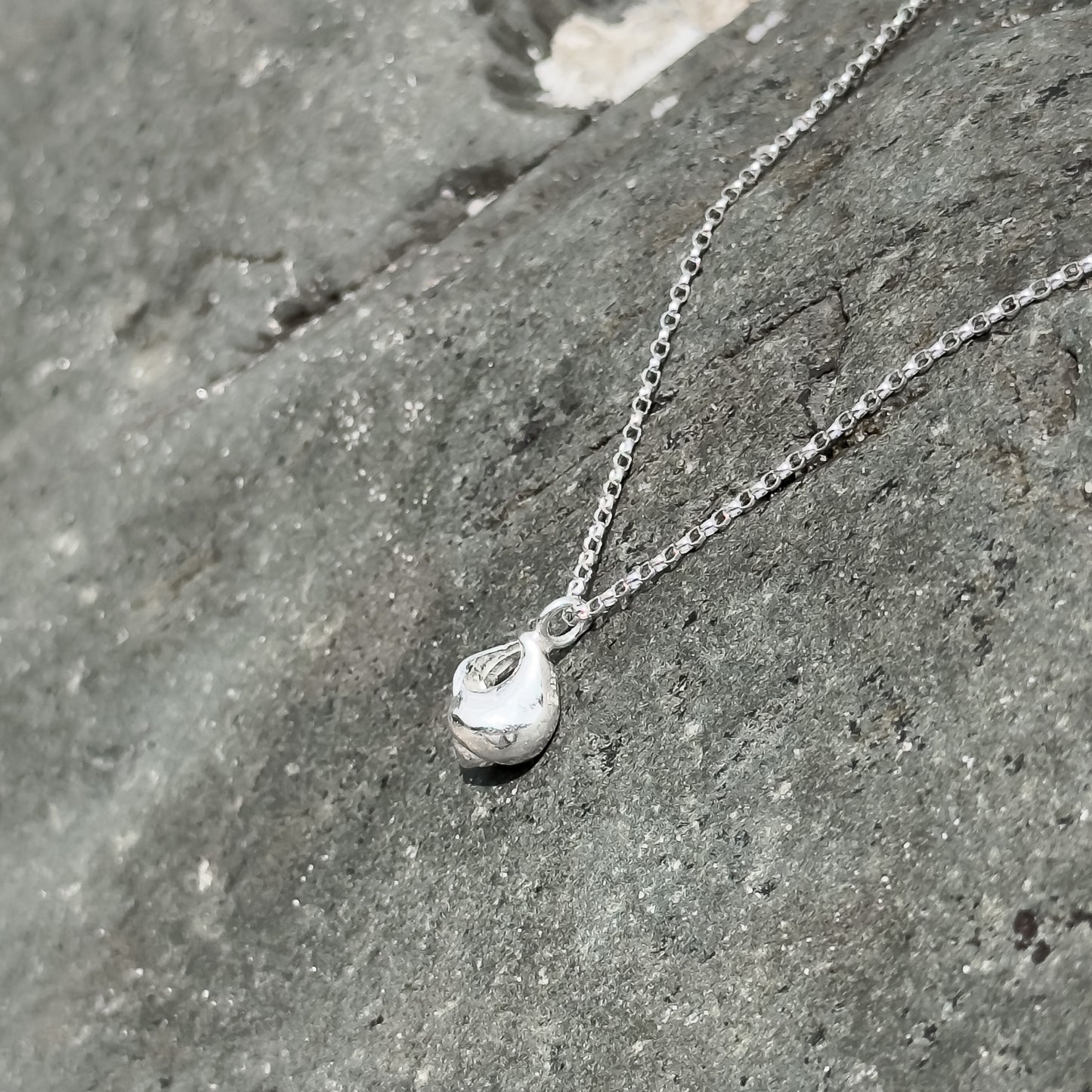 Silver Periwinkle Shell Necklace