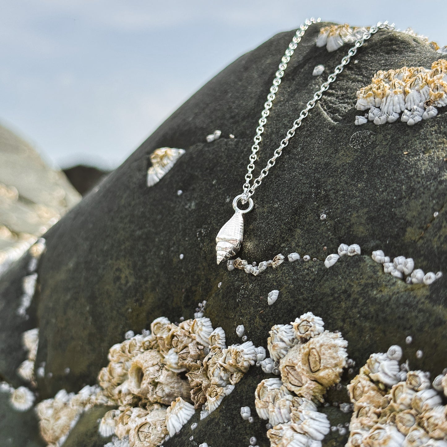 Silver Whelk Shell Necklace