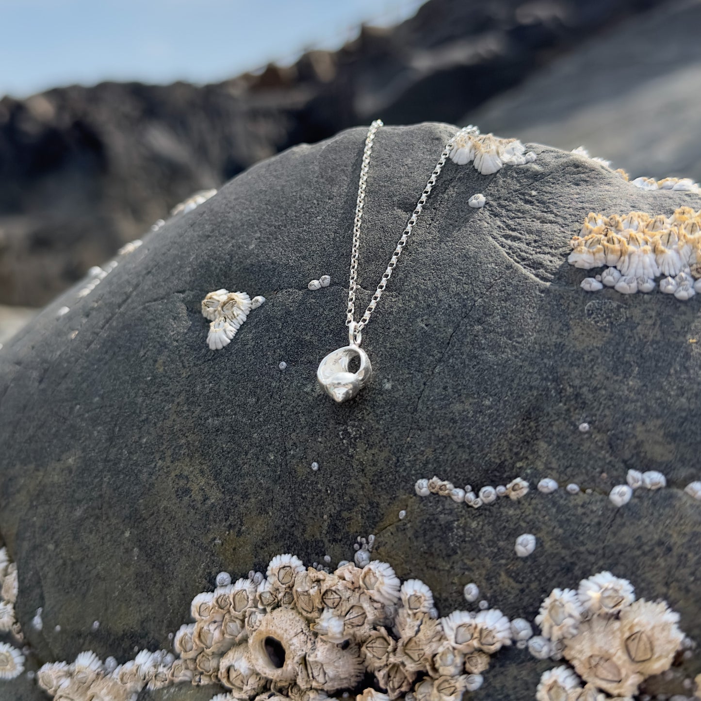 Silver Periwinkle Shell Necklace