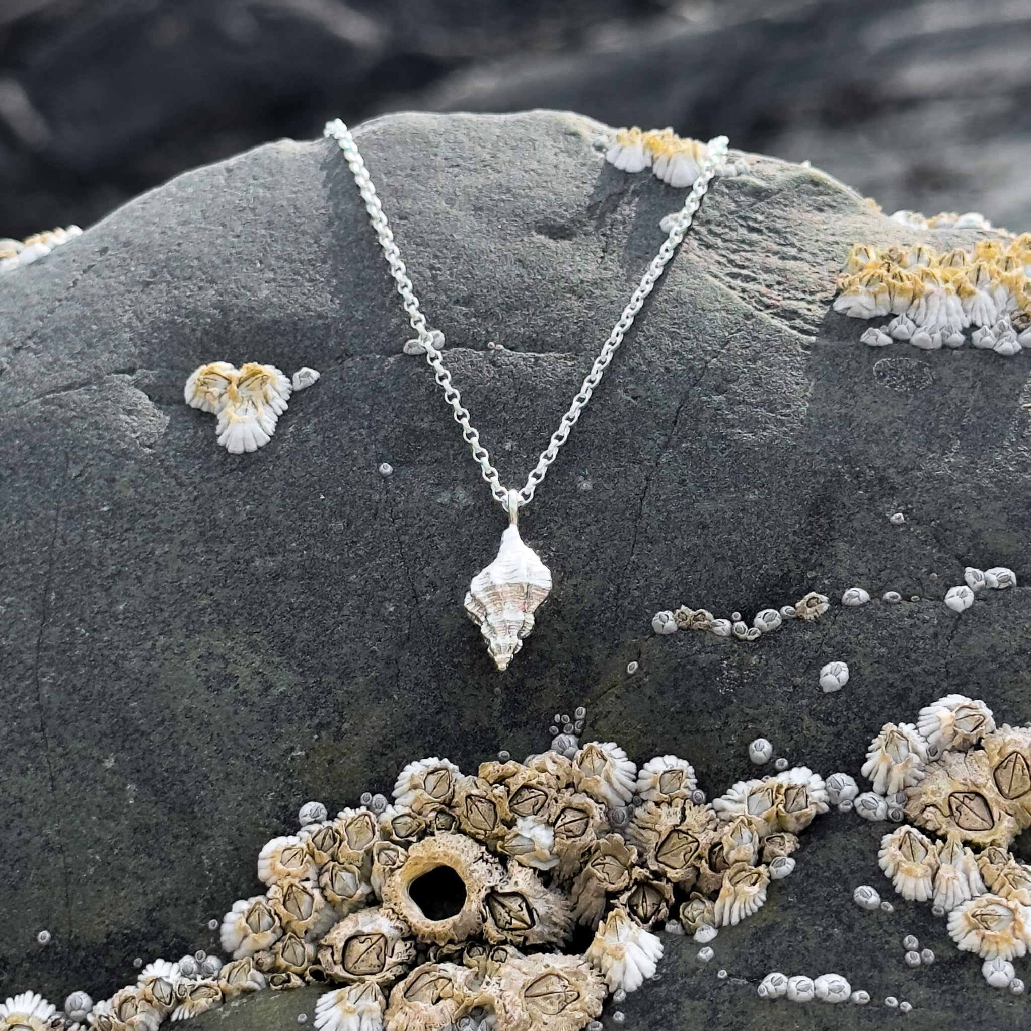 Silver Horse Conch Necklace