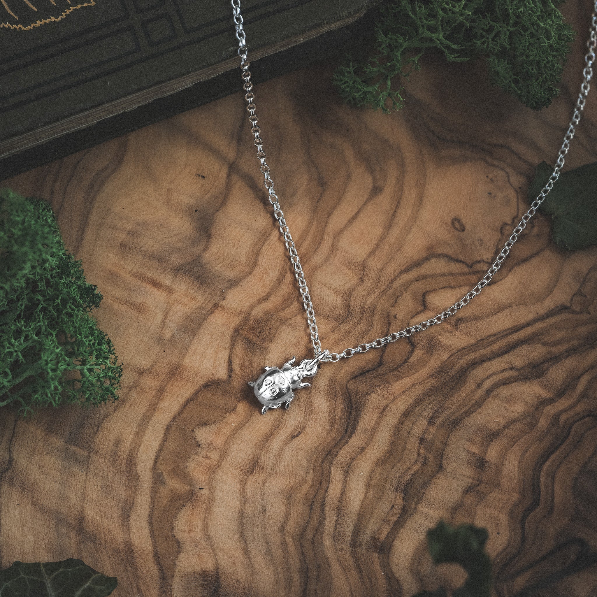 Silver Ladybird Charm Necklace