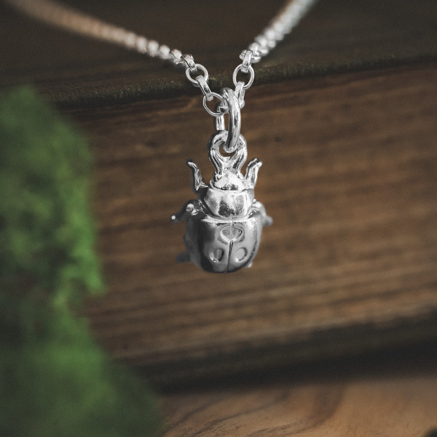Silver Ladybird Charm Necklace