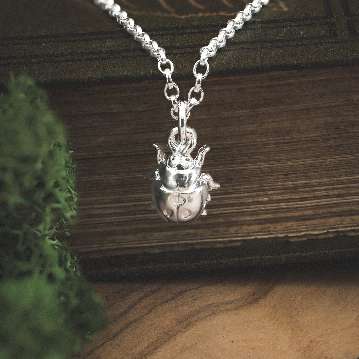 Silver Ladybird Charm Necklace