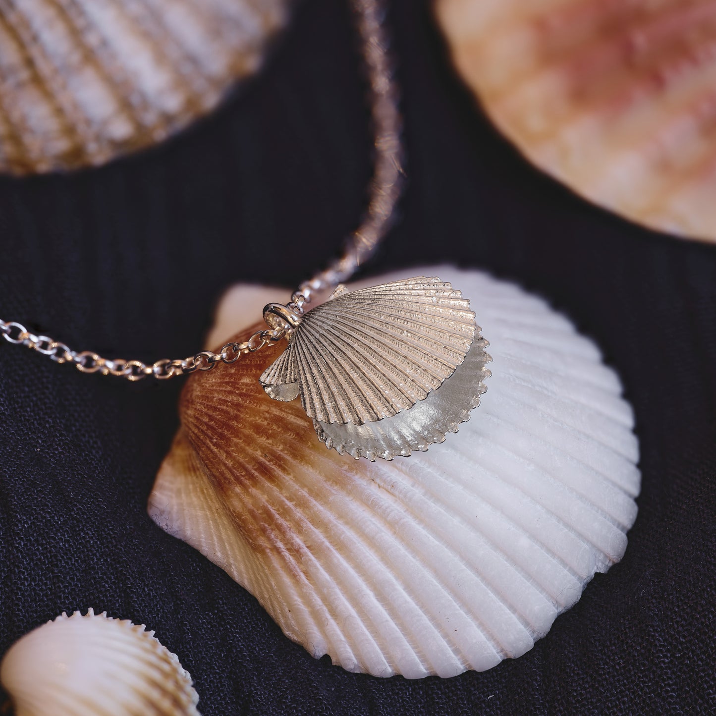 Silver Double Scallop Shell Necklace with Freshwater Pearl