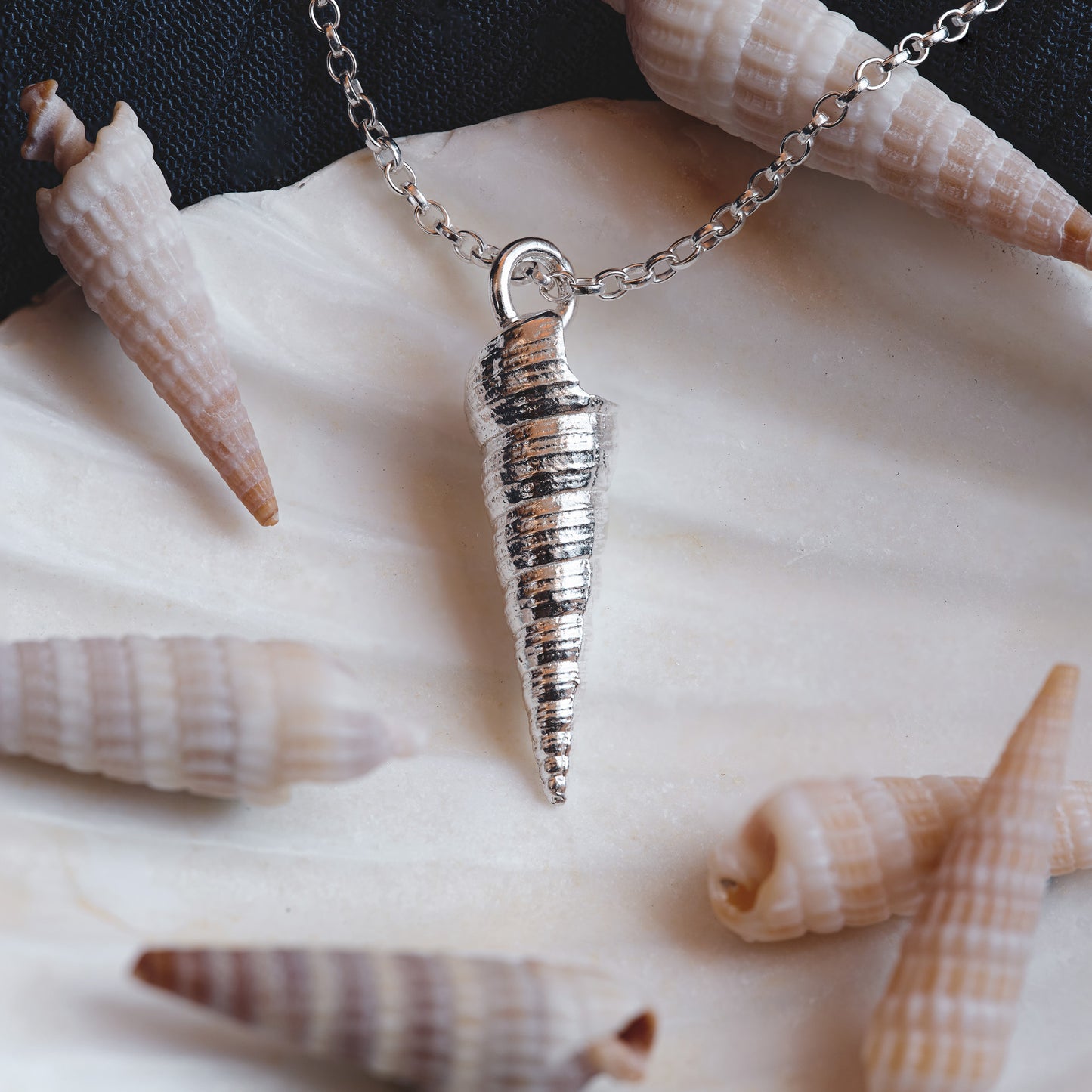 Silver Auger Shell Necklace