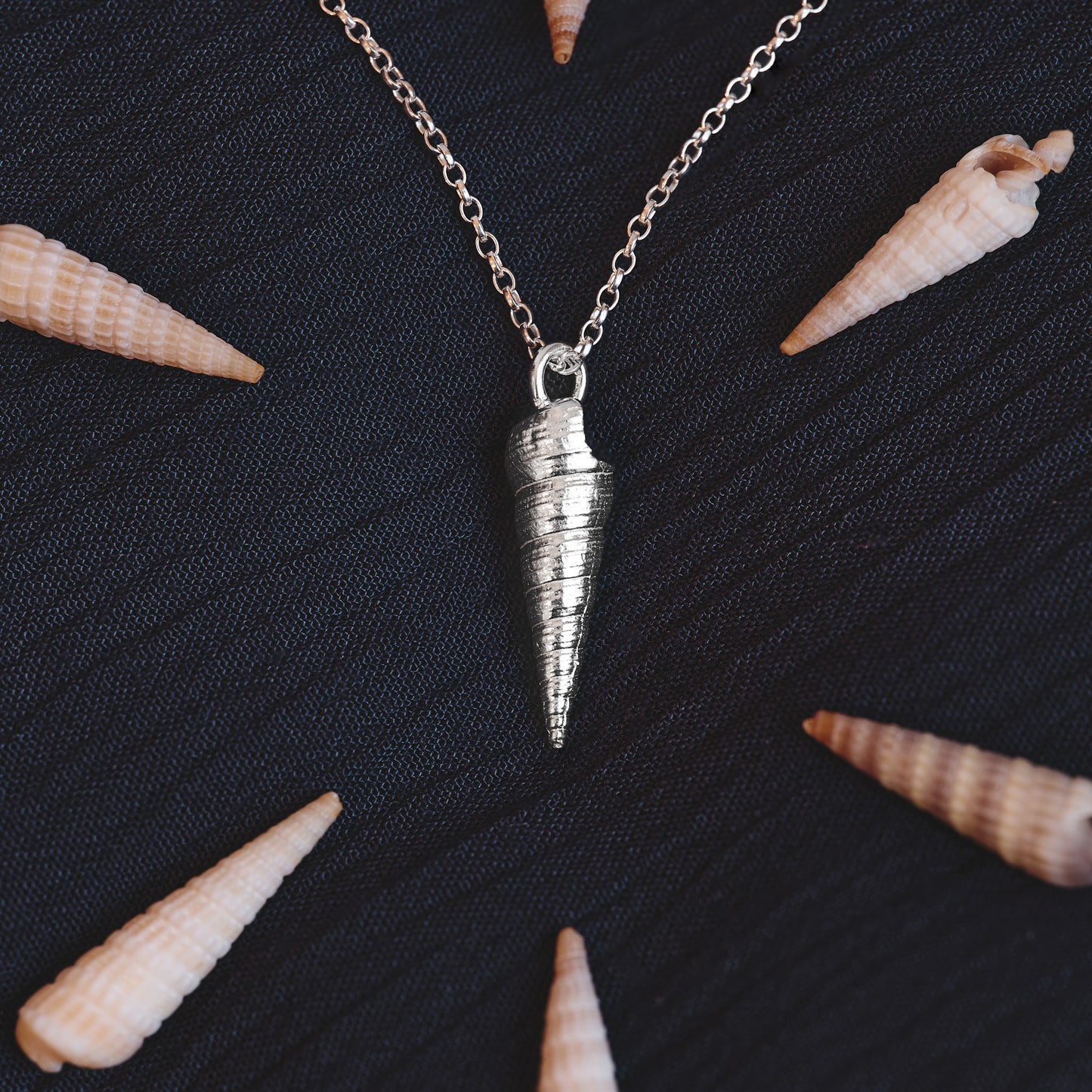 Silver Auger Shell Necklace