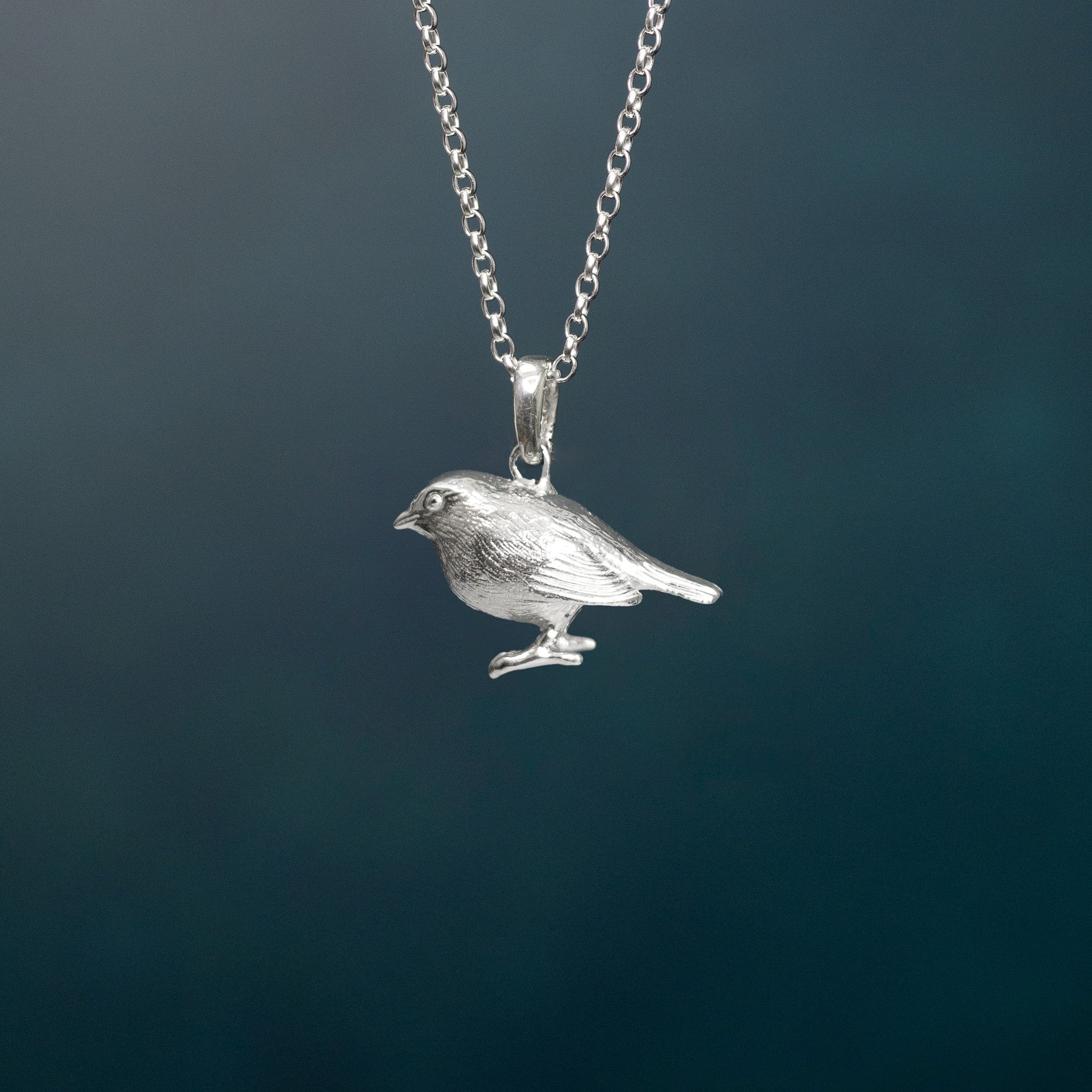 Robin Silver Pendant Necklace