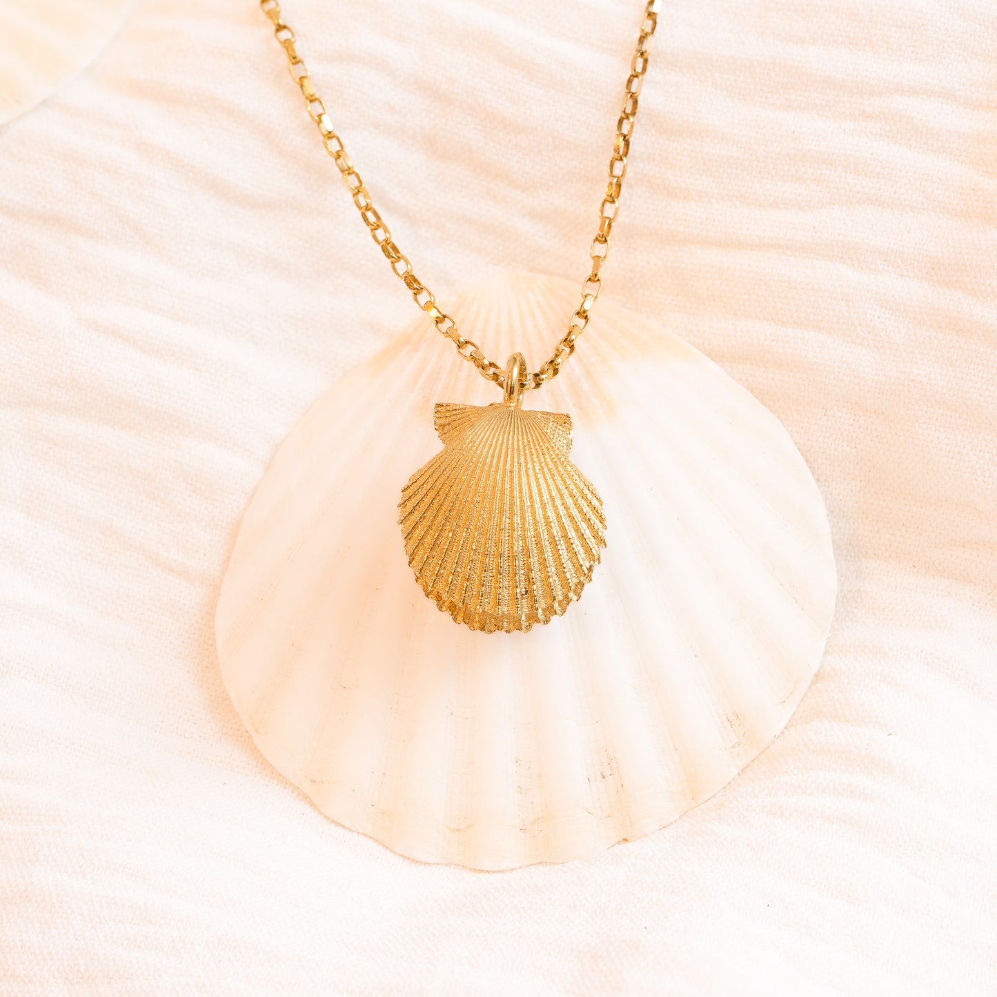 Gold scallop shell necklace with a shell pendant on a seashell background