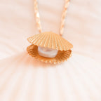 Gold scallop shell necklace with freshwater pearl on light background close-up