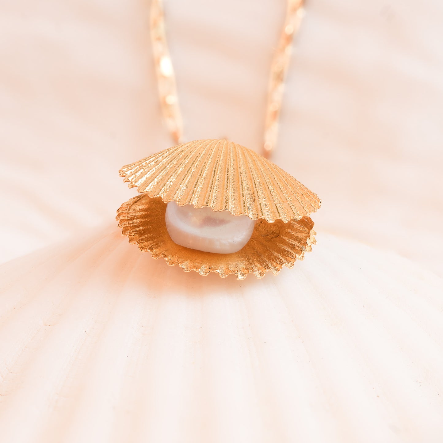 Gold scallop shell necklace with freshwater pearl on light background close-up